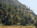 La Gomera (8)
